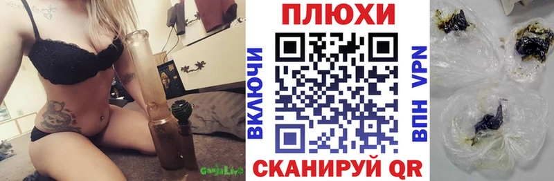 блэк спрут   Тулун  Гашиш индика сатива 