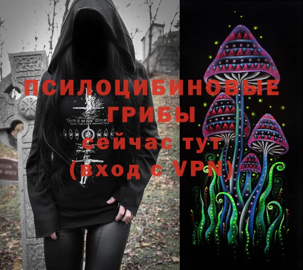 ГАЛЛЮЦИНОГЕННЫЕ ГРИБЫ Алзамай