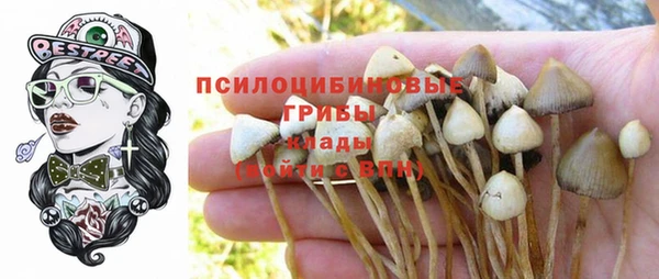 кокаин Алексеевка