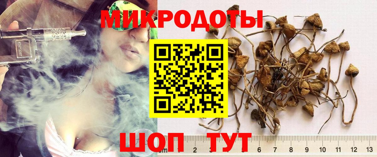 Галлюциногенные грибы прущие грибы Тулун